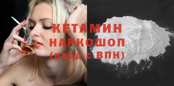 прущие грибы Абаза