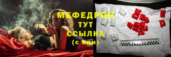 прущие грибы Абаза