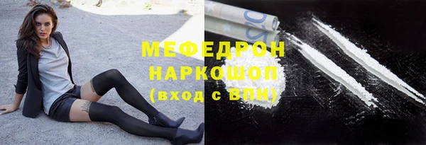 прущие грибы Абаза
