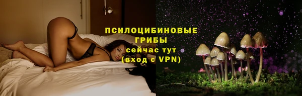 прущие грибы Абаза