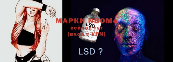 прущие грибы Абаза