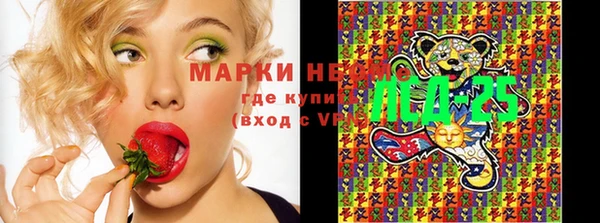 прущие грибы Абаза