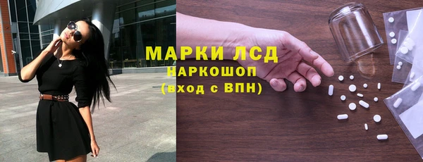 прущие грибы Абаза